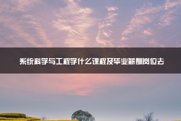 系统科学与工程学什么课程及毕业薪酬岗位去向 就业前景怎么样