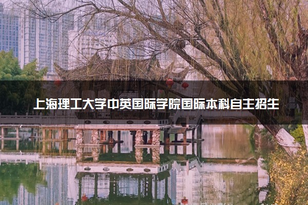 上海理工大学中英国际学院国际本科自主招生
