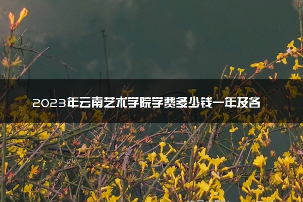 2023年云南艺术学院学费多少钱一年及各专业收费标准查询 大约需要多少费用