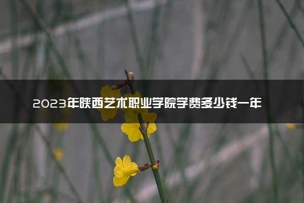 2023年陕西艺术职业学院学费多少钱一年及各专业收费标准查询 大约需要多少费用