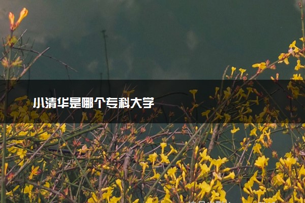 小清华是哪个专科大学