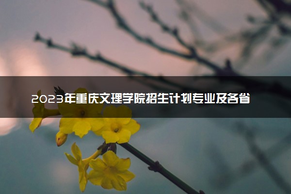 2023年重庆文理学院招生计划专业及各省录取分数线位次