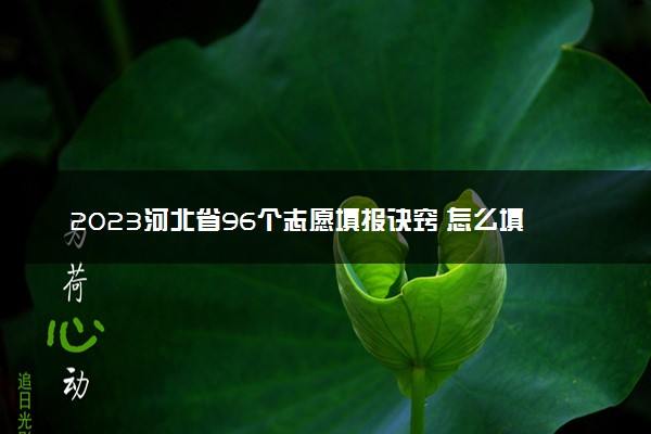 2023河北省96个志愿填报诀窍 怎么填