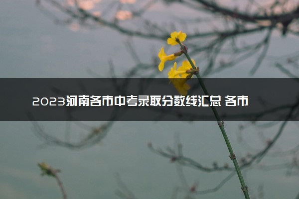 2023河南各市中考录取分数线汇总 各市分数线是多少