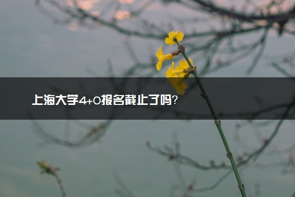 上海大学4+0报名截止了吗？
