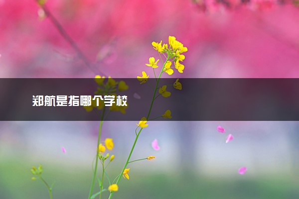 郑航是指哪个学校