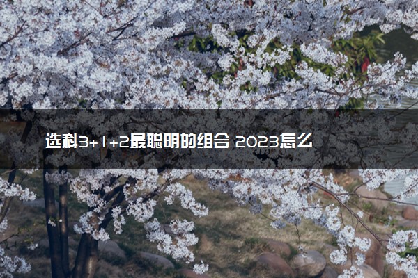 选科3+1+2最聪明的组合 2023怎么选择比较好