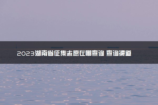 2023湖南省征集志愿在哪查询 查询渠道