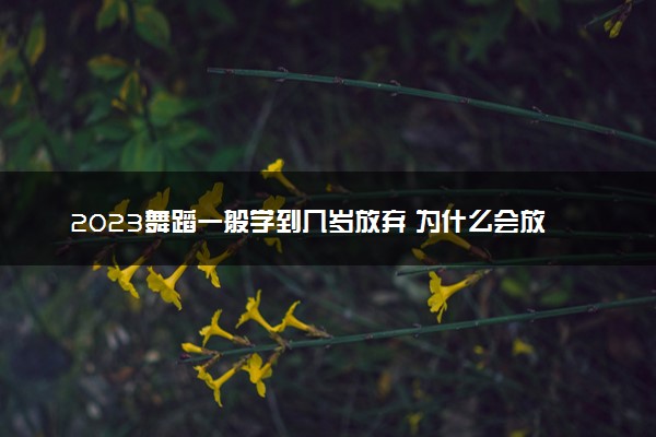 2023舞蹈一般学到几岁放弃 为什么会放弃