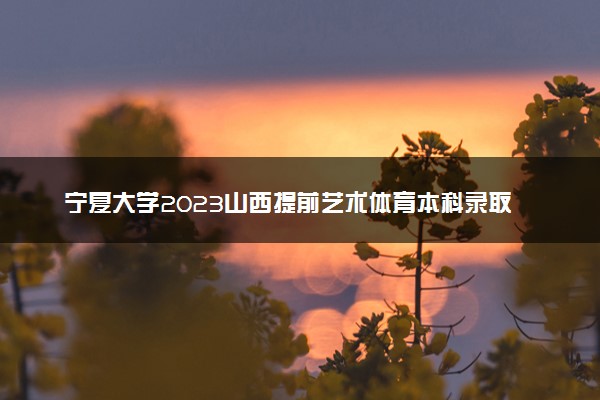 宁夏大学2023山西提前艺术体育本科录取分数 最低分是多少