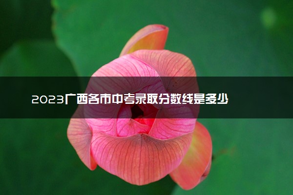 2023广西各市中考录取分数线是多少