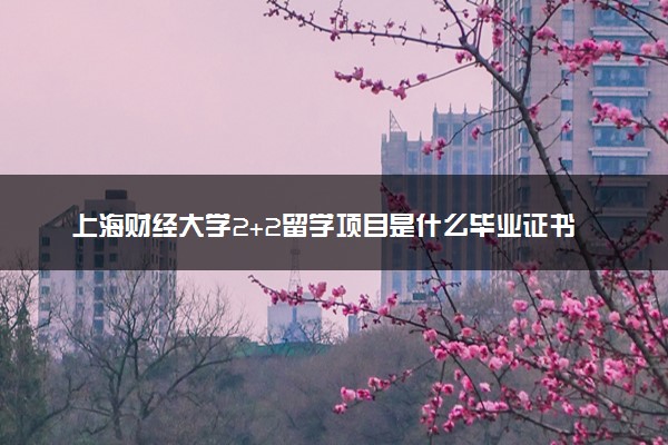 上海财经大学2+2留学项目是什么毕业证书
