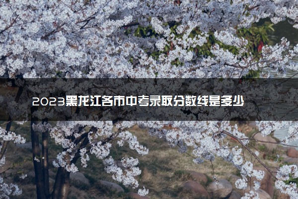 2023黑龙江各市中考录取分数线是多少