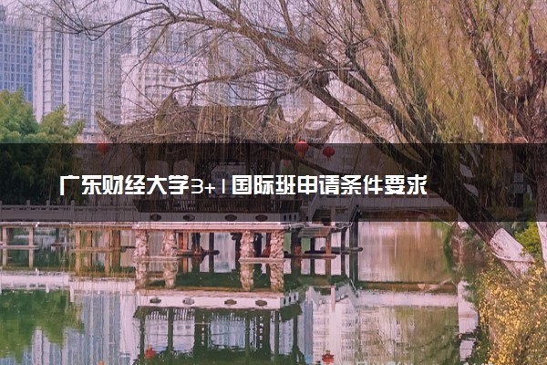 广东财经大学3+1国际班申请条件要求