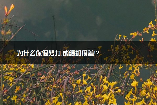 为什么你很努力，成绩却很差！？