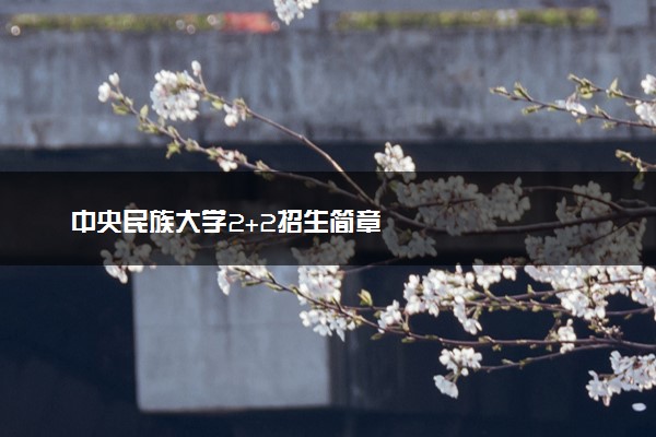 中央民族大学2+2招生简章