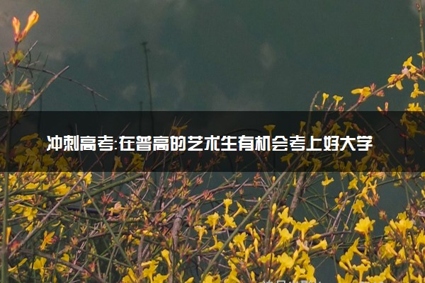 冲刺高考：在普高的艺术生有机会考上好大学吗？