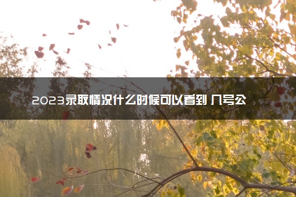 2023录取情况什么时候可以看到 几号公布录取结果
