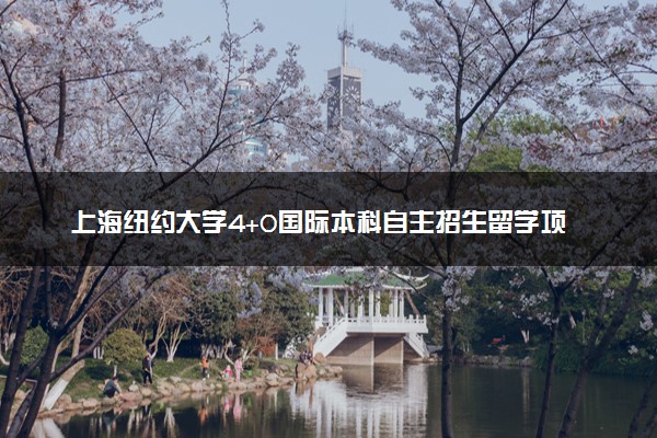 上海纽约大学4+0国际本科自主招生留学项目