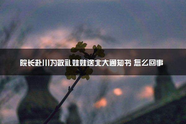 院长赴川为敬礼娃娃送北大通知书 怎么回事