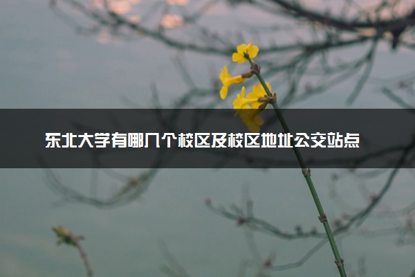 东北大学有哪几个校区及校区地址公交站点 分别都在哪里