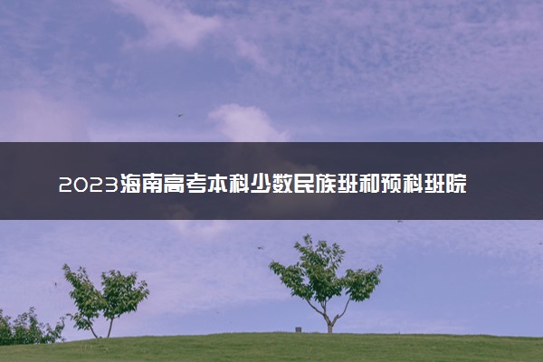 2023海南高考本科少数民族班和预科班院校专业组投档控制分数线