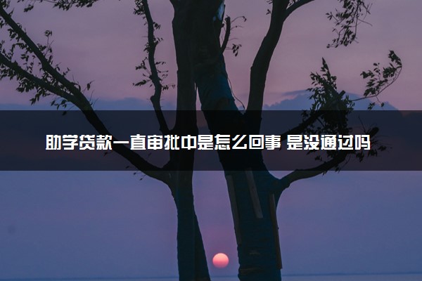 助学贷款一直审批中是怎么回事 是没通过吗