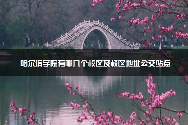 哈尔滨学院有哪几个校区及校区地址公交站点 分别都在哪里