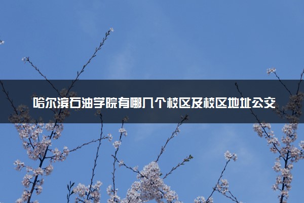 哈尔滨石油学院有哪几个校区及校区地址公交站点 分别都在哪里