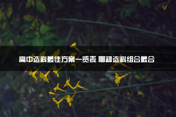 高中选科最佳方案一览表 哪种选科组合最合理