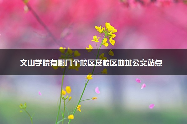 文山学院有哪几个校区及校区地址公交站点 分别都在哪里