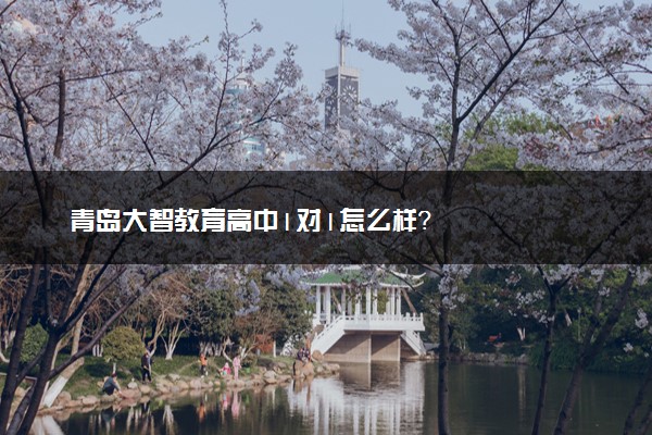 青岛大智教育高中1对1怎么样？