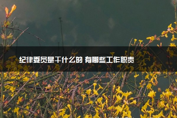 纪律委员是干什么的 有哪些工作职责