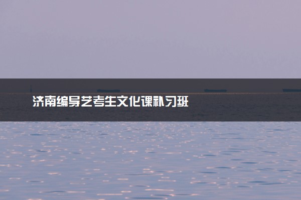 济南编导艺考生文化课补习班