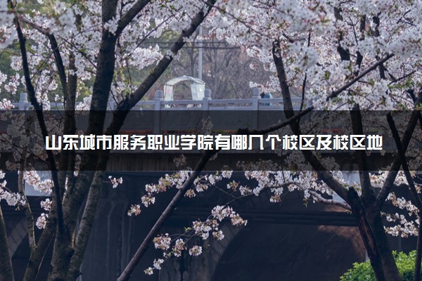 山东城市服务职业学院有哪几个校区及校区地址公交站点 分别都在哪里