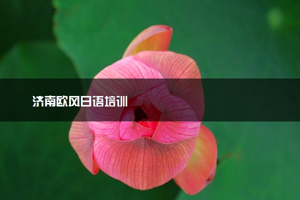 济南欧风日语培训