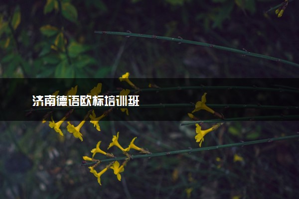 济南德语欧标培训班