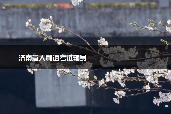 济南意大利语考试辅导