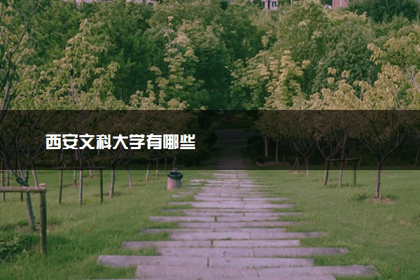 西安文科大学有哪些