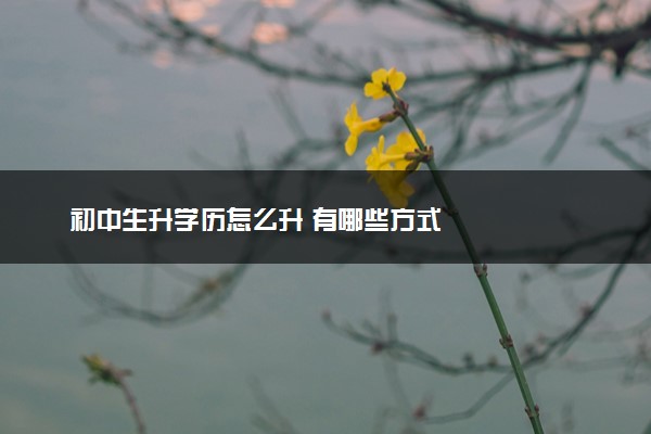 初中生升学历怎么升 有哪些方式