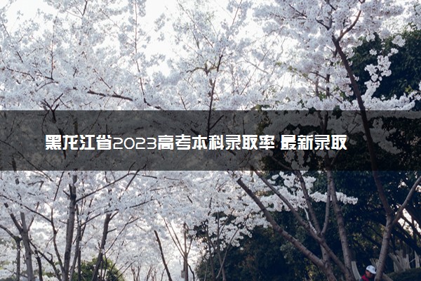黑龙江省2023高考本科录取率 最新录取人数