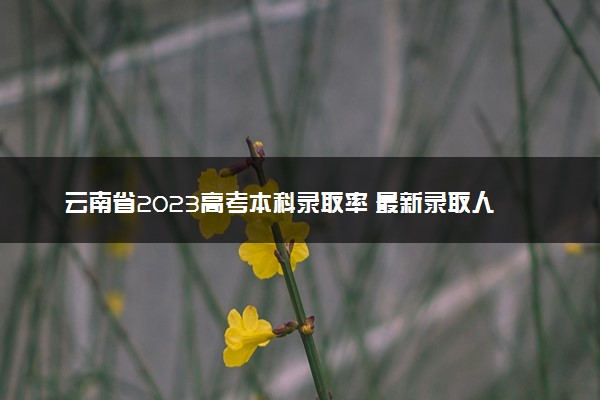云南省2023高考本科录取率 最新录取人数