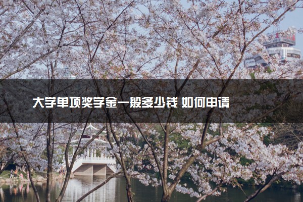 大学单项奖学金一般多少钱 如何申请