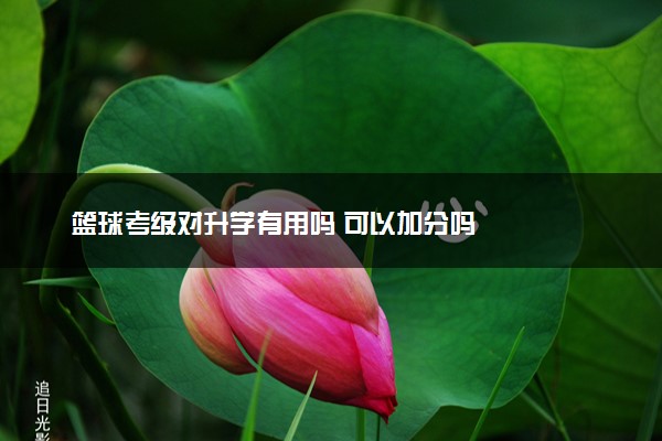 篮球考级对升学有用吗 可以加分吗