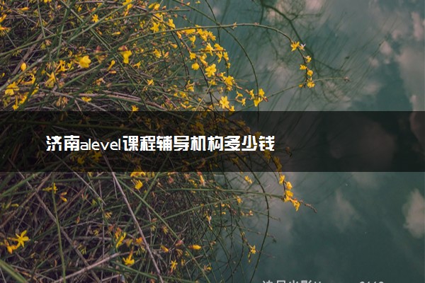 济南alevel课程辅导机构多少钱