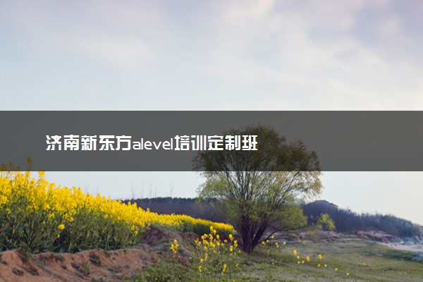 济南新东方alevel培训定制班