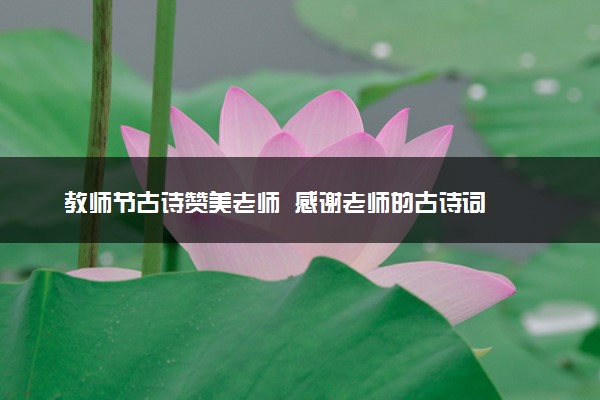 教师节古诗赞美老师  感谢老师的古诗词