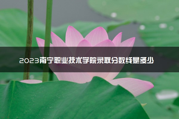 2023南宁职业技术学院录取分数线是多少 各省历年最低分数线