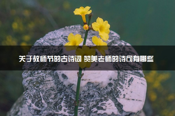 关于教师节的古诗词 赞美老师的诗句有哪些