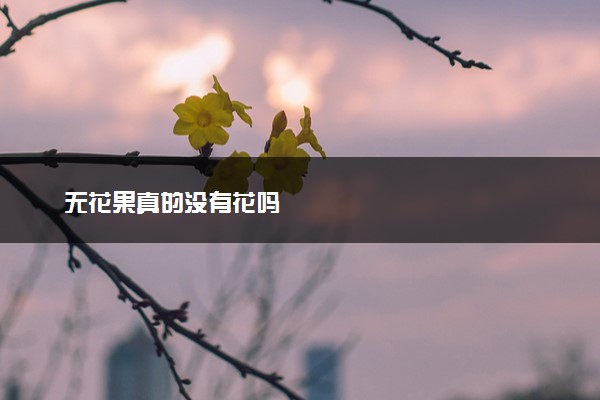 无花果真的没有花吗